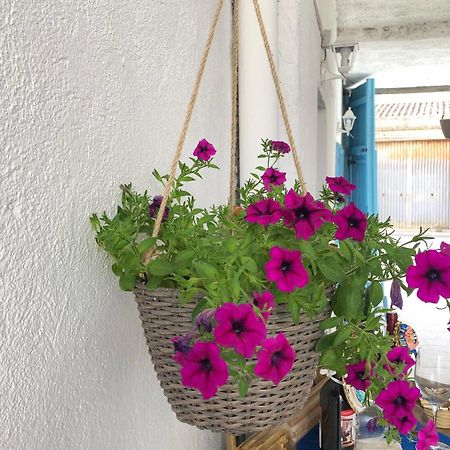 Bnb Le Janas Cabras Exterior foto
